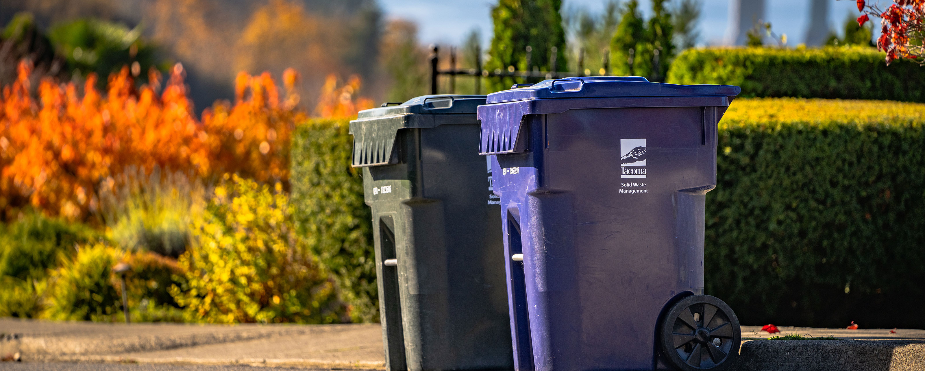 Access Free Waste Management Support Through City Programs